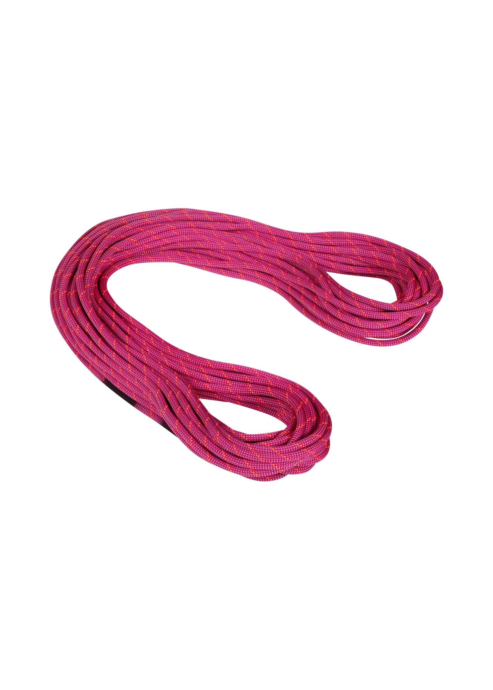 Mammut Mammut Crag Dry Rope - 9.5 mm