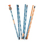 Backcountry Access Sonde BCA Stealth 330