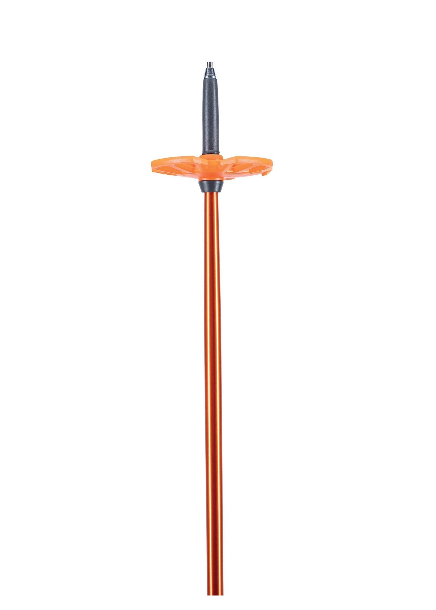 Backcountry Access Bâton de ski BCA Scepter Aluminium