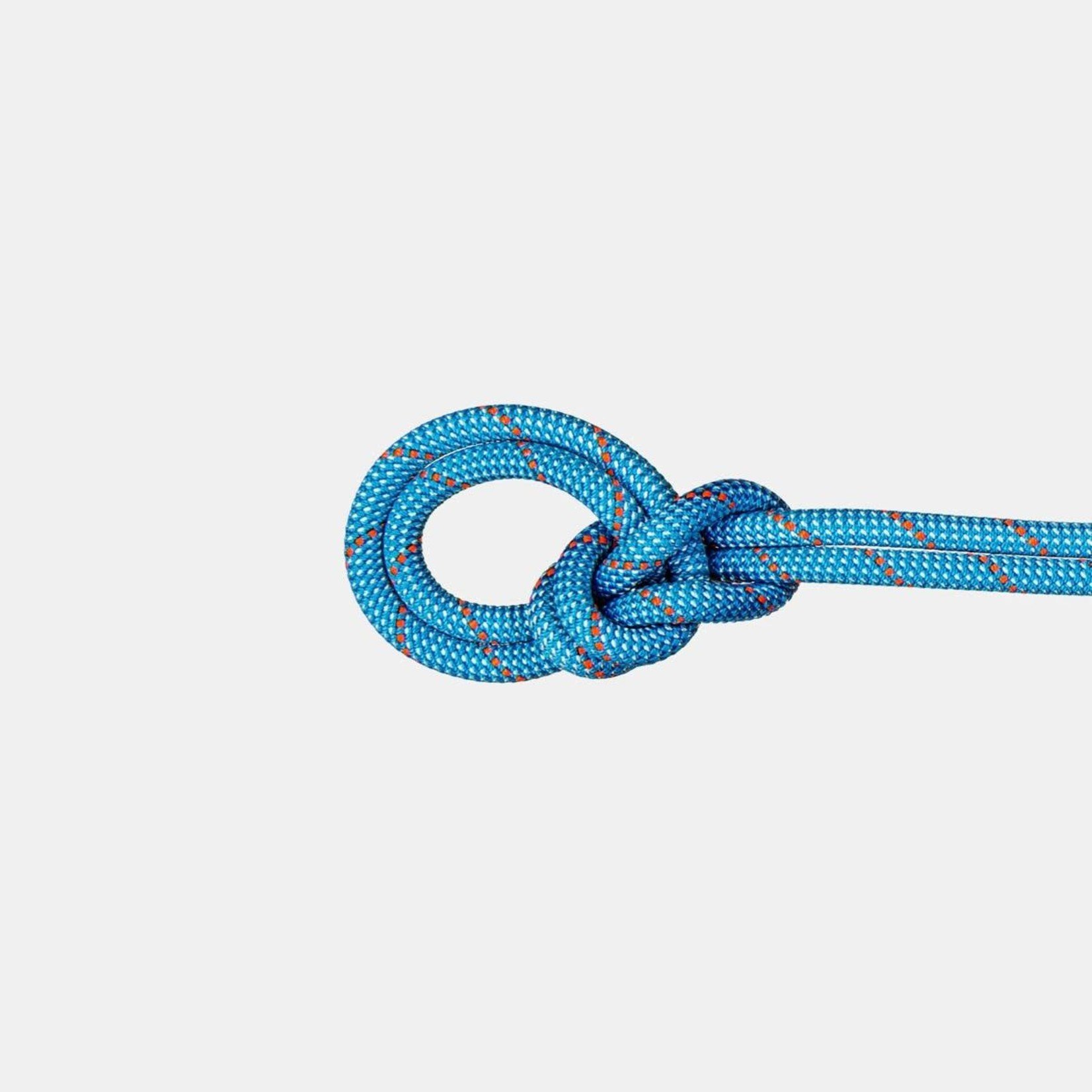 Mammut Mammut Crag Classic Rope - 9.8 mm