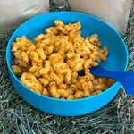 Macaroni au fromage végétalien Wild Mountain Eats