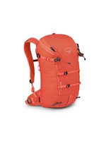 Osprey Osprey Mutant 22 Pack