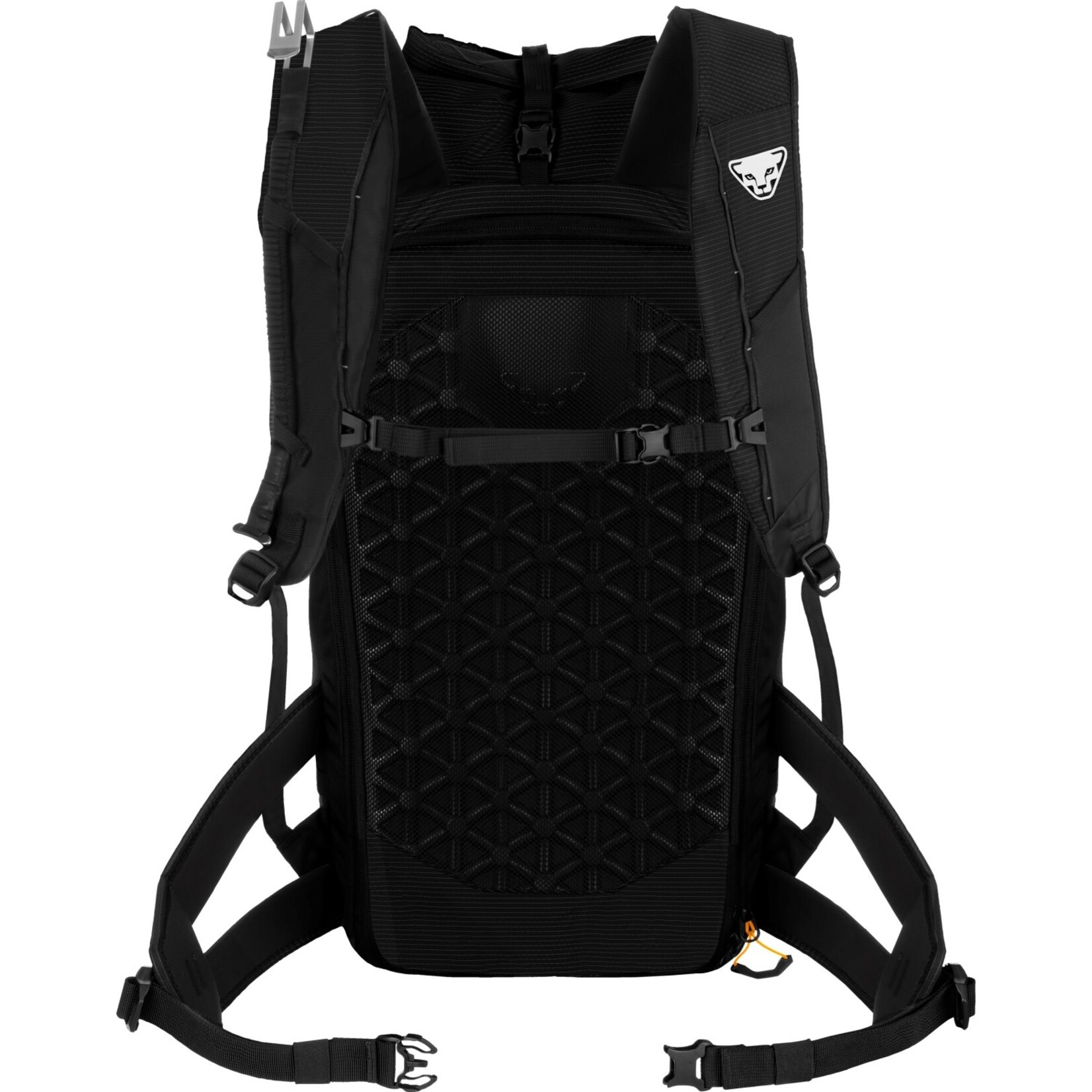 Dynafit Sac à dos Dynafit Radical 30+ Homme