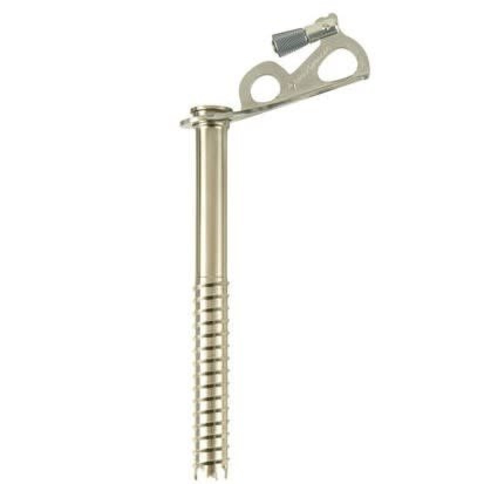 Black Diamond Black Diamond Express Ice Screws