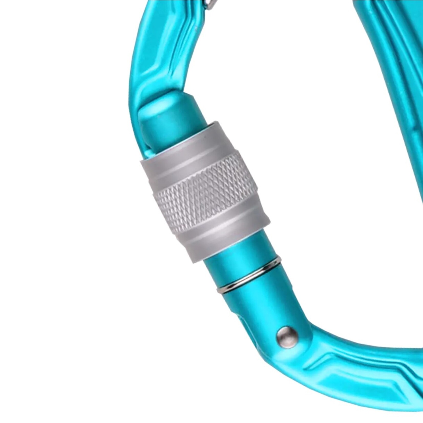 Edelrid Edelrid Bulletproof Screw Gate Carabiner