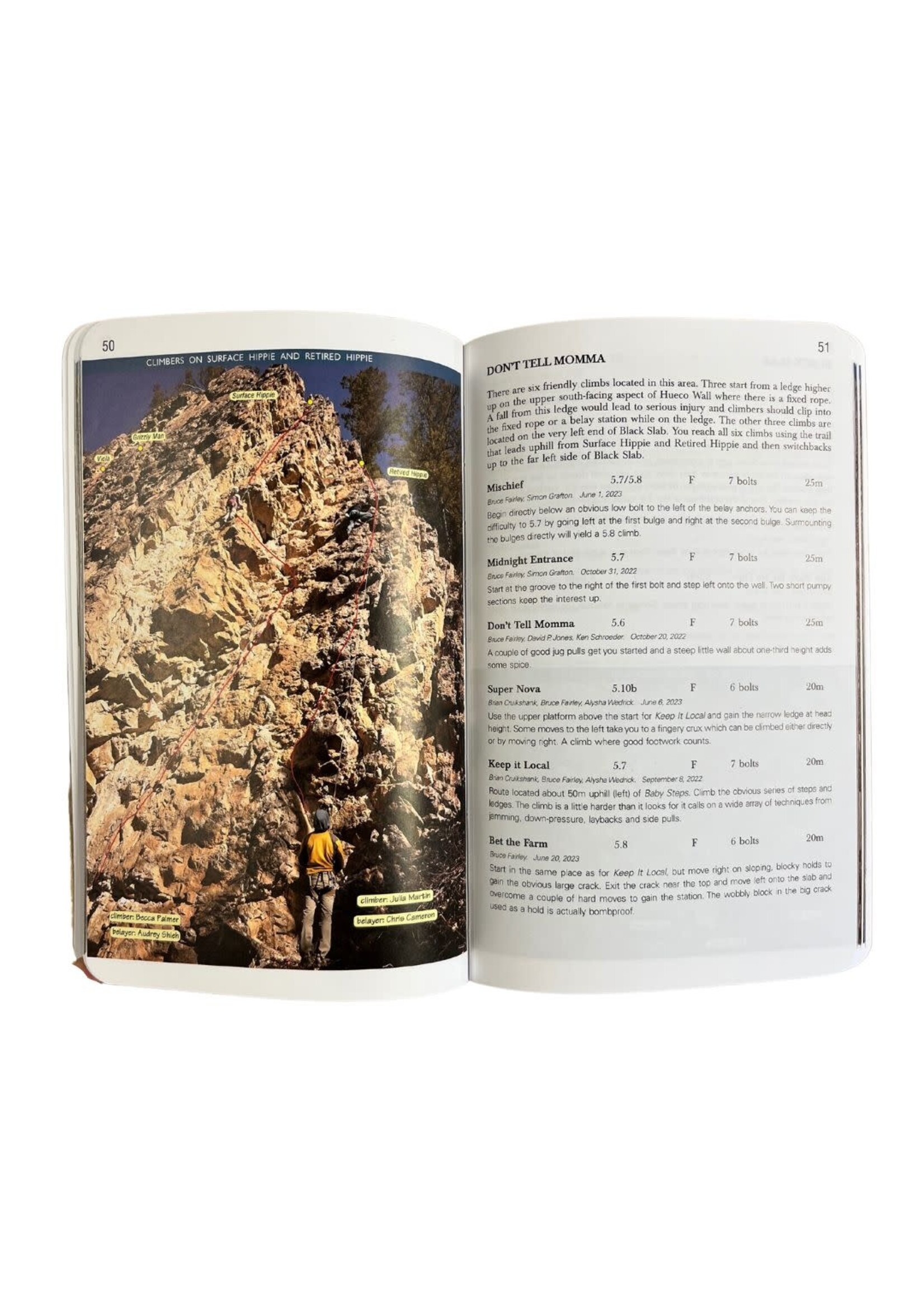 A Rock Climber's Guide to Spillimacheen