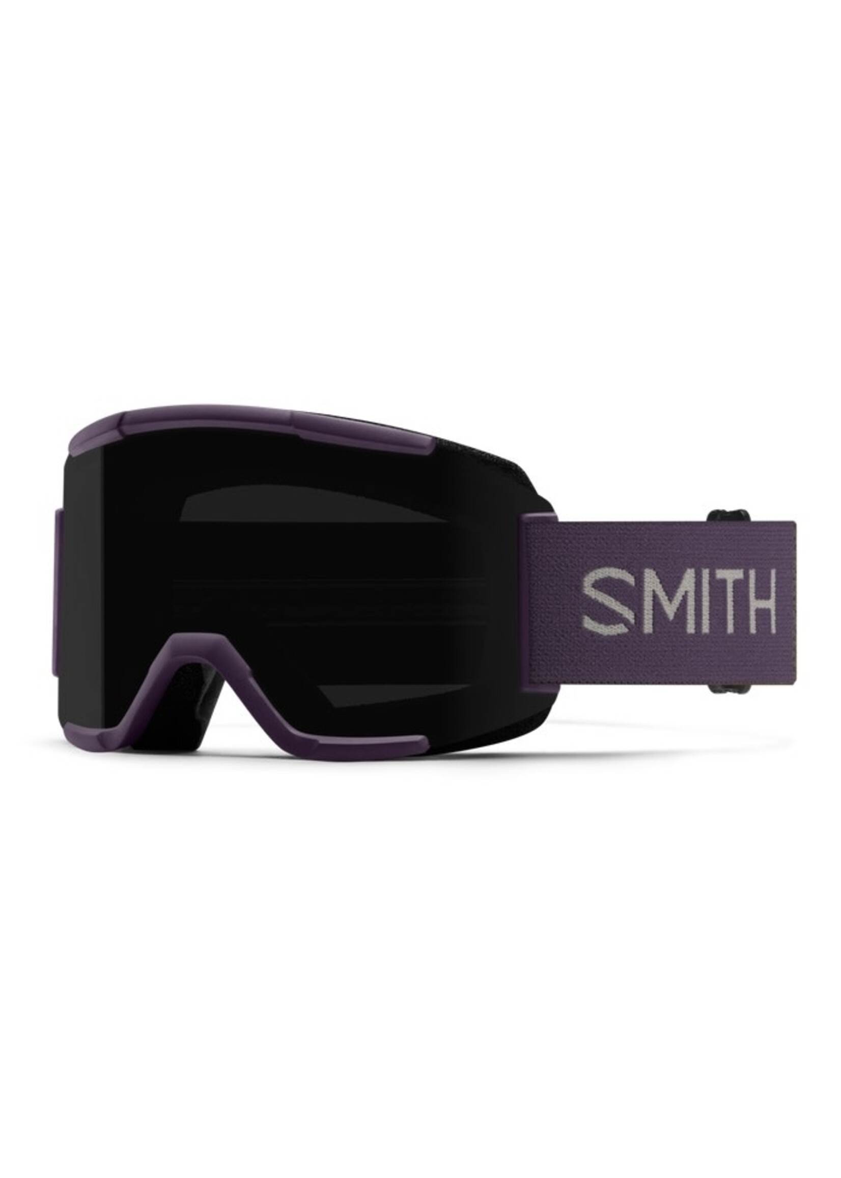 Smith Smith Squad Goggles