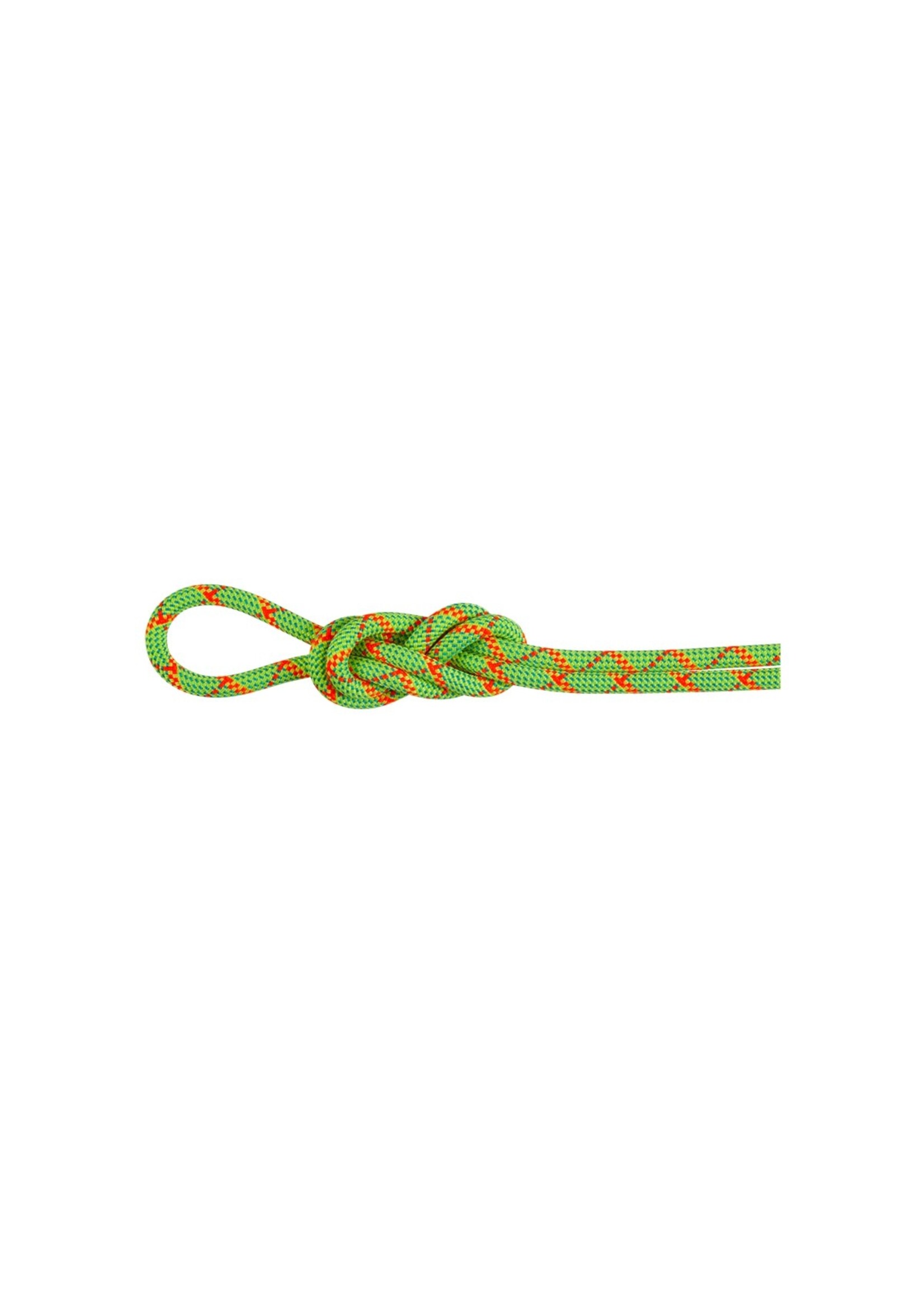 Mammut Mammut 8.0 Alpine Core Protect Dry Rope