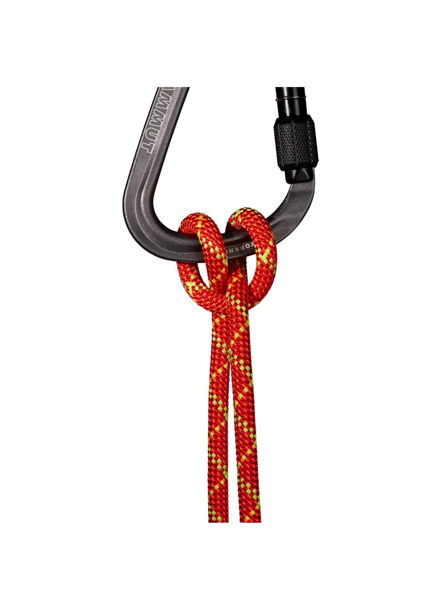 Mammut Mammut 8.0 Alpine Core Protect Dry Rope
