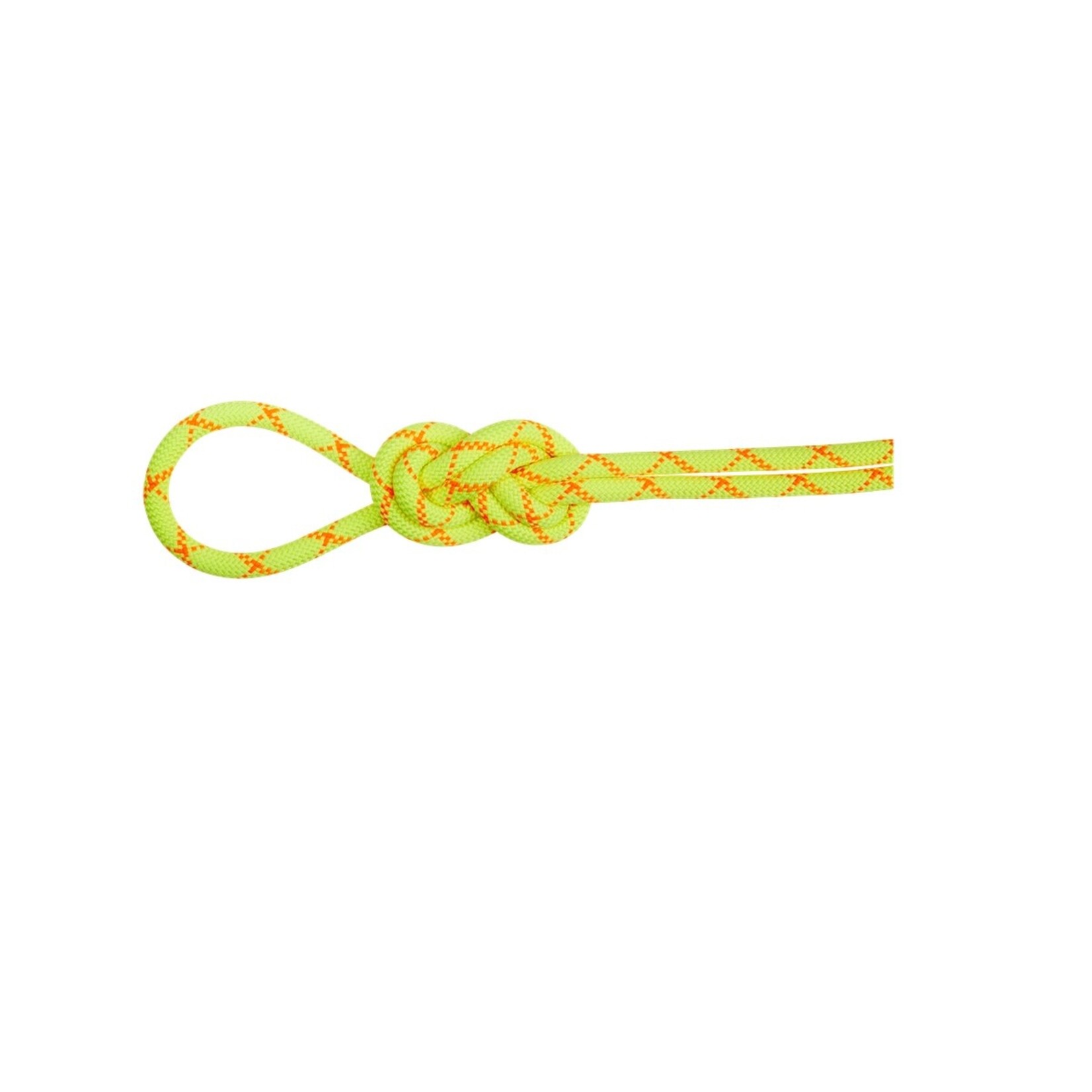 Mammut Mammut 9.5 Alpine Core Protect Dry Rope