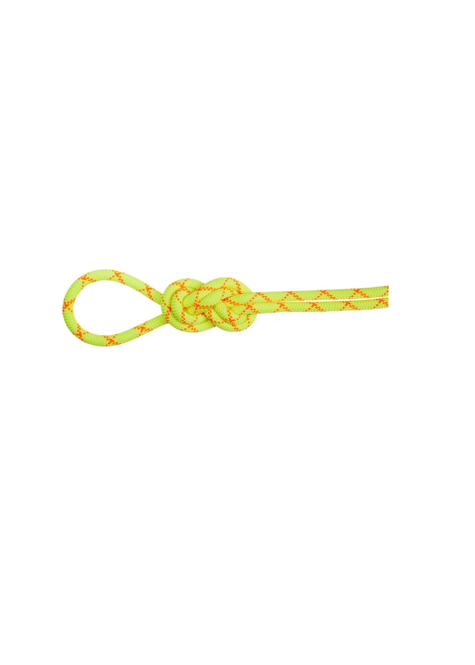 Mammut Mammut 9.5 Alpine Core Protect Dry Rope