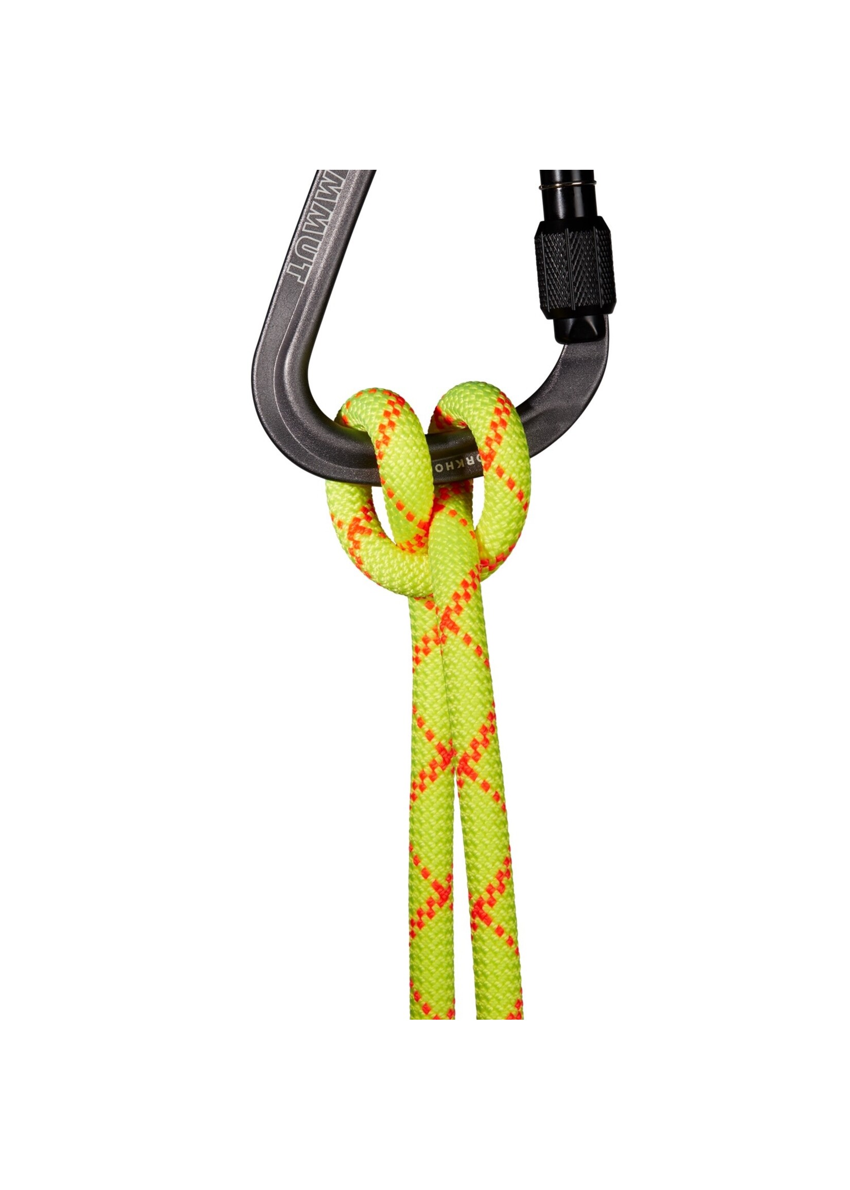 Mammut Mammut 9.5 Alpine Core Protect Dry Rope