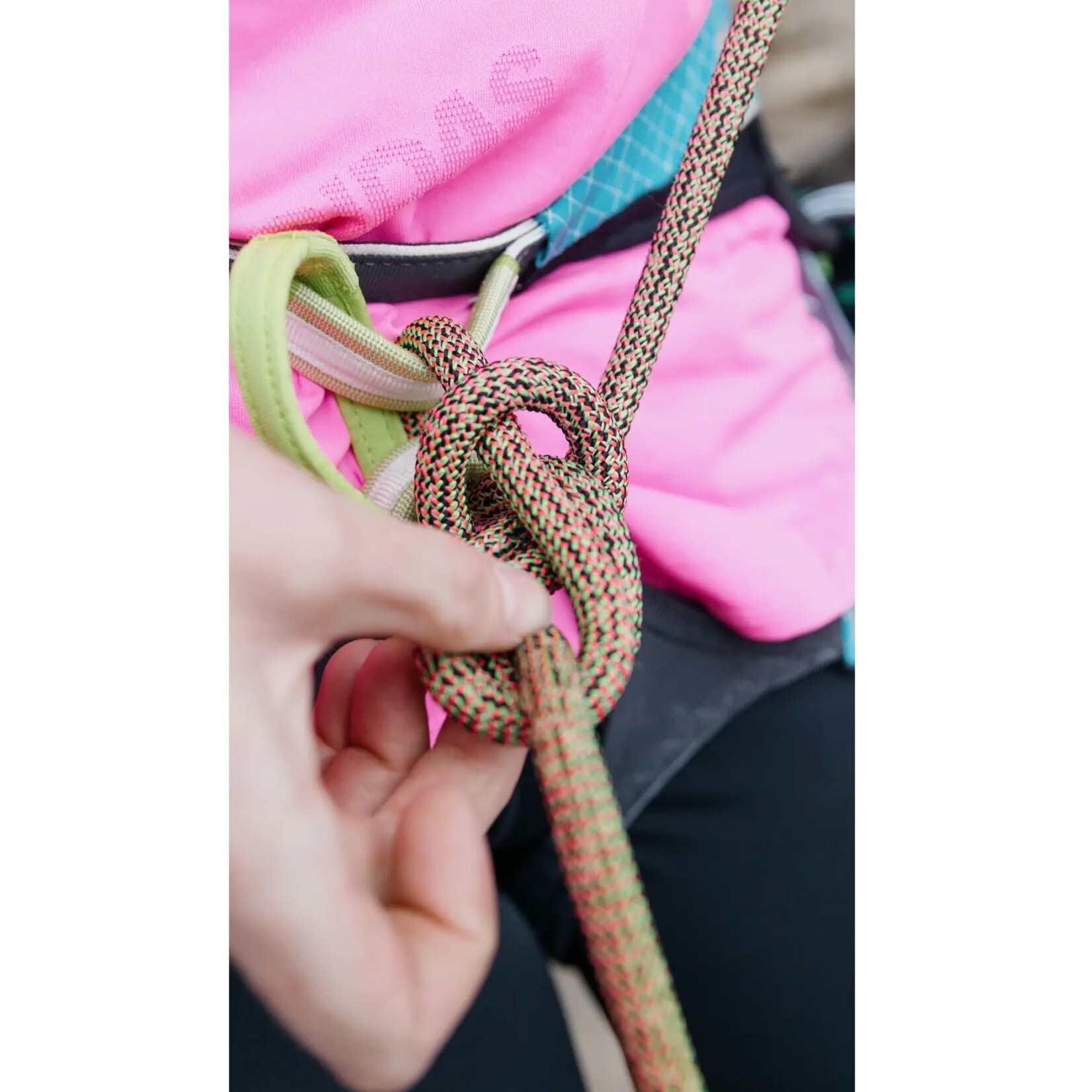 Edelrid Edelrid Eagle Lite Protect Pro Dry 9.5 Rope