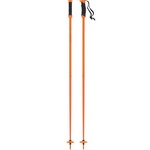 Atomic Atomic Redster Q SQS Poles