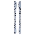 Salomon Skis Salomon QST 100 - 2026