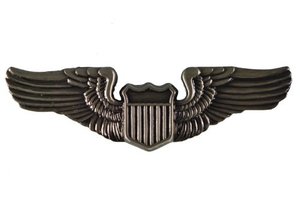 Wings: Pewter