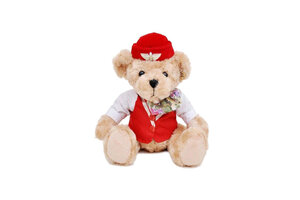 Teddy Bear Flight Attendant