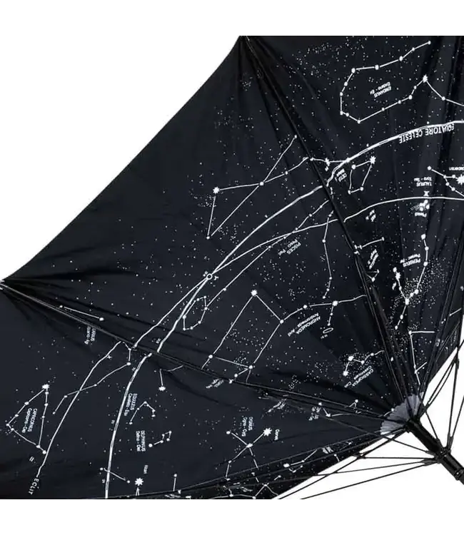 Airbus Constellation Automatic Umbrella,