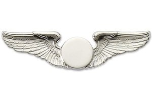 Small Wing Silver