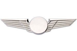 Modern Wing Midsize Silver,