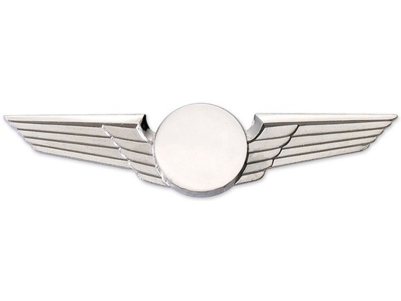 Modern Wing Midsize Silver,