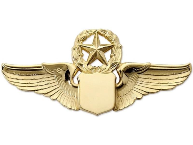 Pin: 3" Wing Shield w/ Star & Wreath Gold