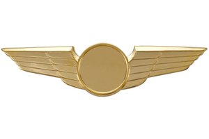 Pin: Modern Wing Plain Gold