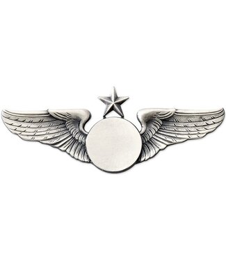 Pin: Classic Wings w/ Star Silver