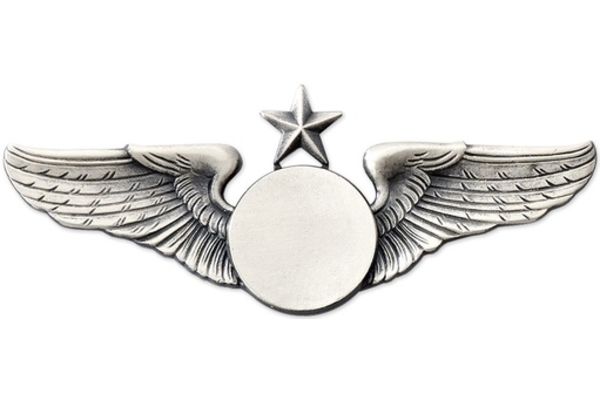 Pin: Classic Wings w/ Star Silver