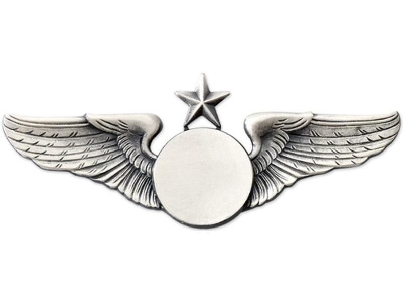 Pin: Classic Wings w/ Star Silver