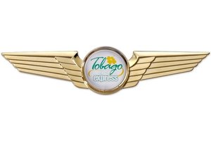 Pin: Modern Wing Gold,