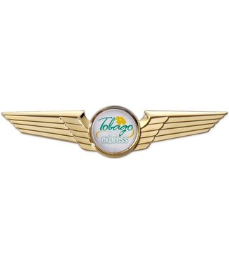 Pin: Modern Wing Gold,