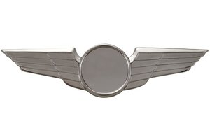 Pin: Modern Wing Plain Silver