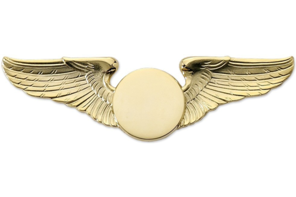 Pin: Classic Wings Gold