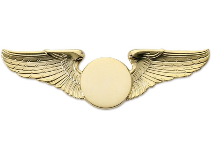 Pin: Classic Wings Gold