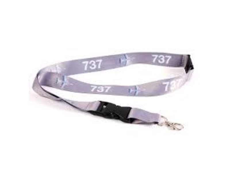 Lanyard: Boeing 737 Motion