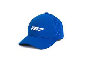 Cap: 787 Program Hat