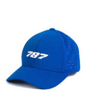 Cap: 787 Program Hat