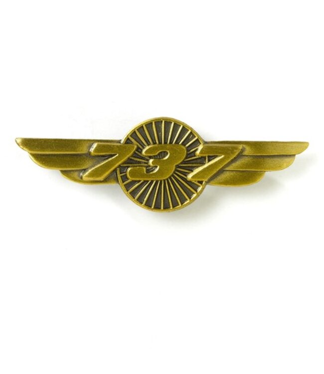 PIN: Wings 737