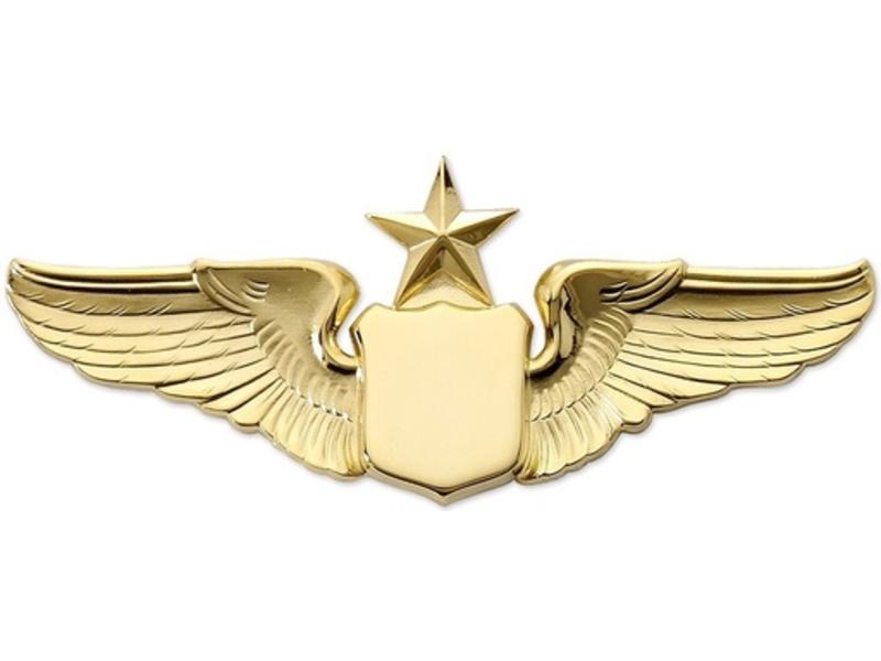 Pin: 3" Wing Shield w/ Star Gold