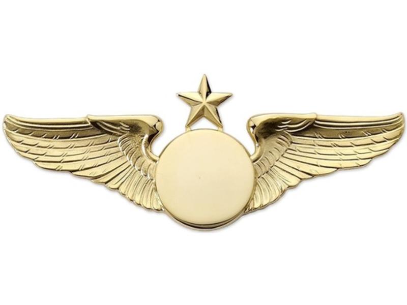 Pin: Classic Wings w/ Star Gold
