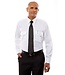 Phillips Van-Heusen Corp Shirt: Aviator Long Sleeve