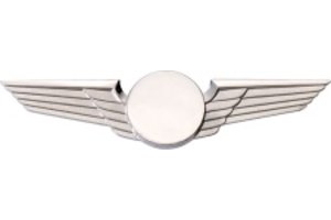 Pin: Modern Wing Silver,