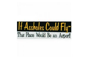 Bumper Sticker: If Assholes Could Fly *Outlet