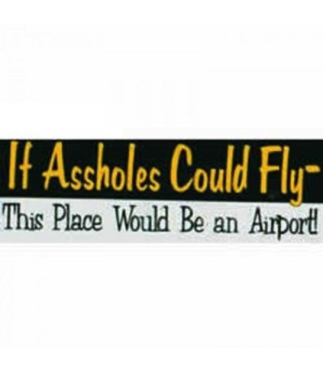 Bumper Sticker: If Assholes Could Fly *Outlet