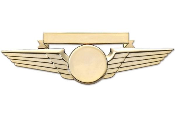 Pin: Wing w/ Nametag Gold