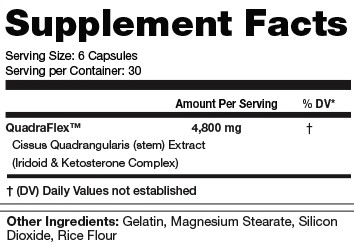 InnovaPharm Superior Cissus