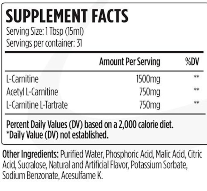 VMI Sports L-Carnitine 3000