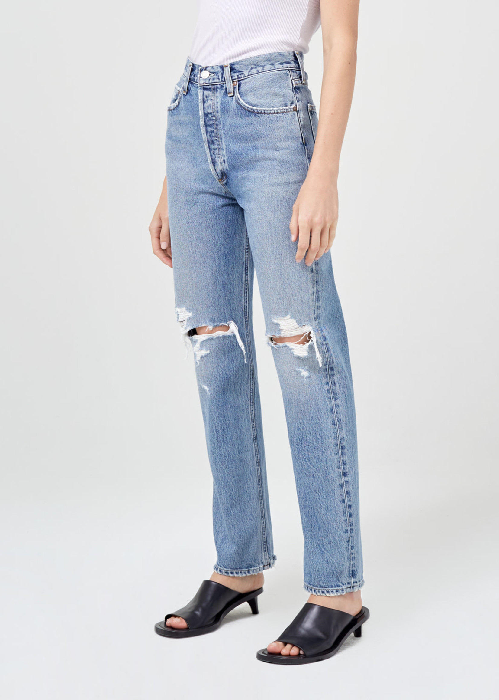 AGOLDE 90's Pinch Waist High Rise Straight Jean in Rule