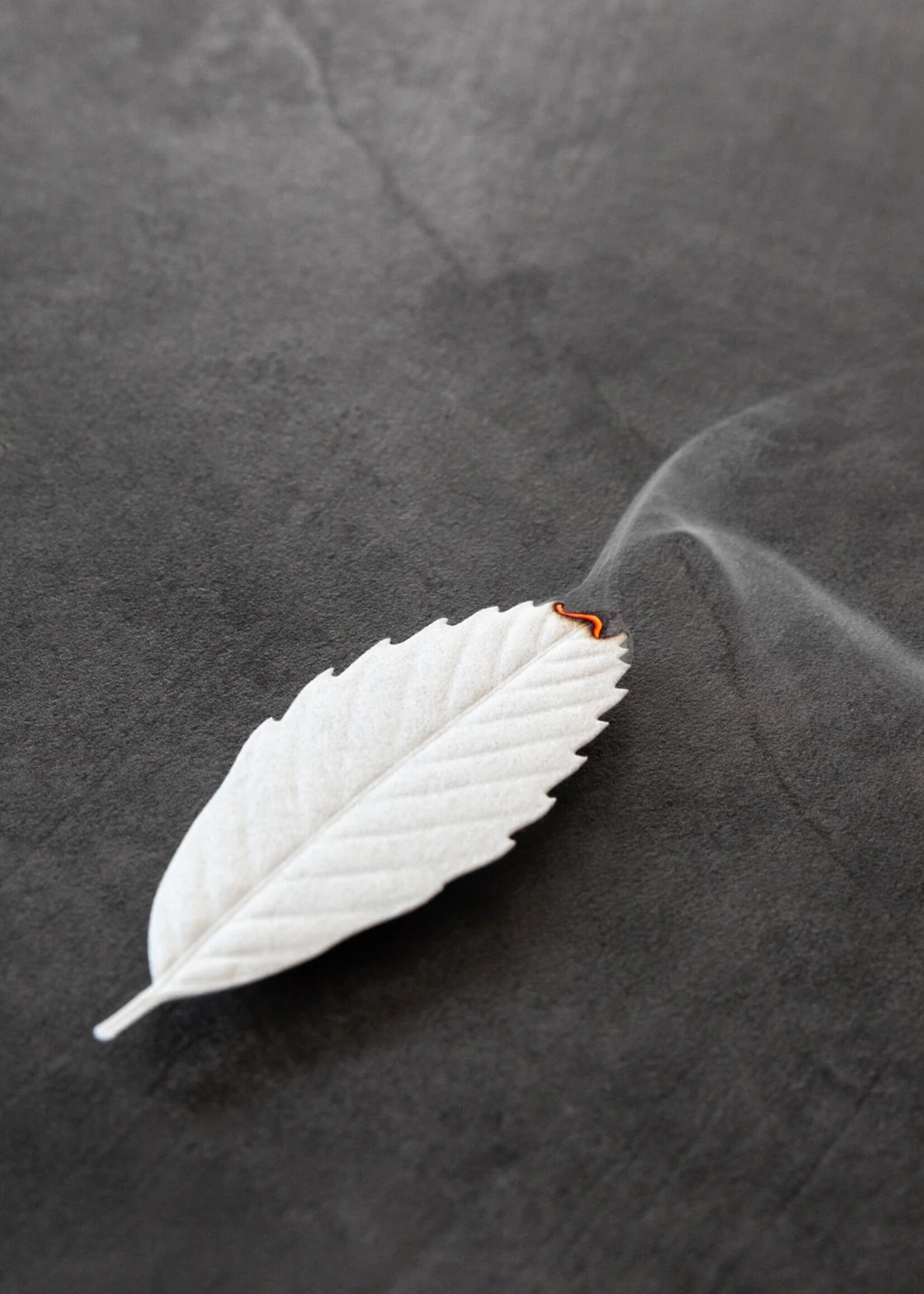 HA KO Paper Incense - White Floral